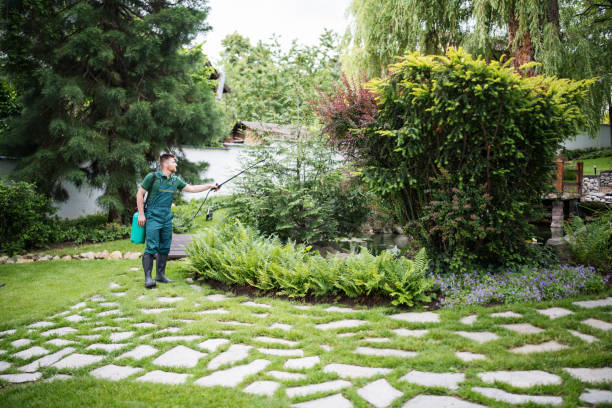 Best Lawn Renovation and Restoration  in Yreka, CA